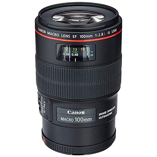 2 Canon+3554B002+Photography+Backpack+Cleaning