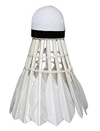 Waterwood 12 X Training White Goose Feather Shuttlecocks Birdies Badminton Ball Game Sport