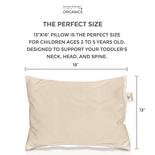 5 Toddler+Pillow+ORGANIC+Cotton+Washable