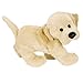 WEBKINZ - Yellow Lab
