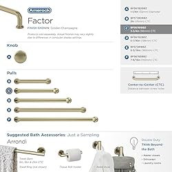 Amerock | Cabinet Pull | Golden Champagne | 3-3/4