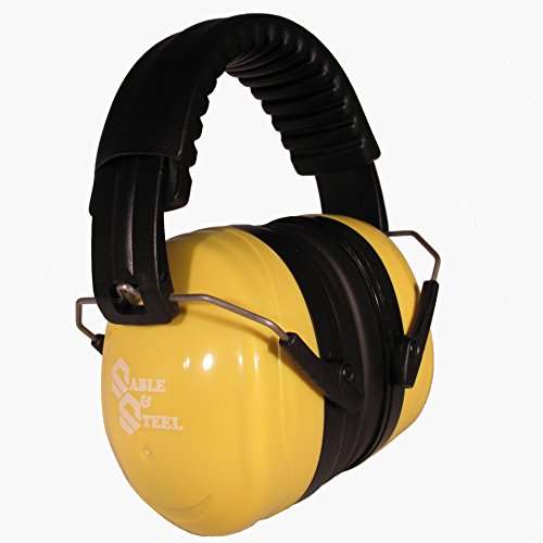 Compare price to aircraft hearing protection