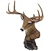 Decorative Buck Bust Statue or Deer Head Sculpture with 8-Point Antlers for Rustic Lodge or Hunting Cabin Decor Wildlife Art Display Centerpiece As Gifts for Hunters