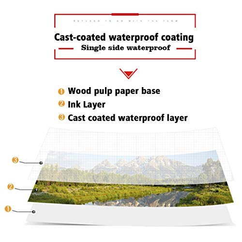 HeCloud 100 Sheets 4"x 6" High Glossy photographic Paper Waterproof Professional Photo Paper Works with All Inkjet Printers 230gsm