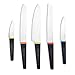VREMI Peacock Set Stainless Steel Chef's Knives with Stylish Acrylic Knife Stand, 5 Piece