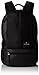 Victorinox Altmont 3.0 Laptop Backpack, Black, 18.3-inch