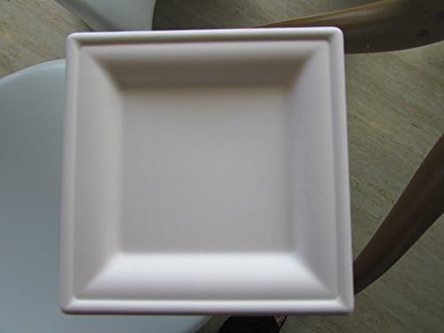 500 counts,Square Plates, 8 inches,Biodegradables,Disposable ,White Plates,Compostable 100% Sugarcane (Eco Friendly) Birthday party (Microwave Safe) platos desechables ecologicos cuadrados microondas