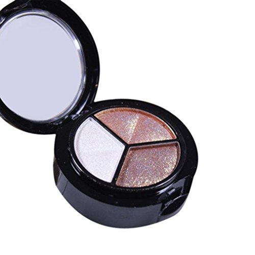 Canserin Smoky Cosmetic Set 3 colors Professional Natural Matte Makeup Eye Shadow (MulticolorB)