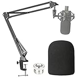 Audio-Technica AT2020 Mic Boom Arm with Foam