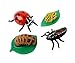 Insect Lore Ladybug Land Gift Set Live Habitat Kit