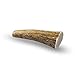 Downtown Pet Supply - Elk Antlers for Dogs - Premium Dog Bones Rich in Calcium, Phosphorus, Vitamins & Minerals - Dog Dental Treats & Natural Dog Chews - Whole - 4-5.5in - Small