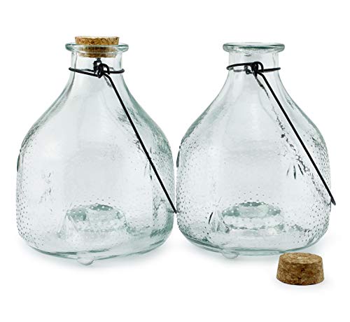 Darware Glass Wasp Traps (2-Pack); Wasp Catchers for Garden and Home Use - Thumbnail 7