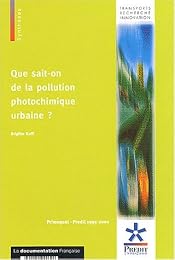 Que sait-on de la pollution photochimique urbaine ?