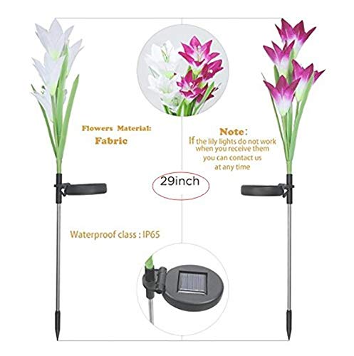 ixaer Solar Garden Lights Outdoor 2 Pack Solar Powered Lights 8 Lily Flower Multi-Color Changing LED Solar Landscape Lighting Light (White and Purple)