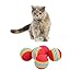 NUOMI 12pcs Sponge Ball Cat Toy Soft Foam Rainbow Play Balls Interactive Kittens Pet Toys