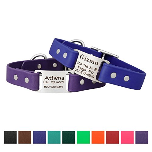 dogIDS Orange Personalized Waterproof Dog Collar with Engraved ScruffTag Nameplate - Smell Resistant Collar (1 Inch Wide - Fits Neck Sizes of 22-26 Inches)