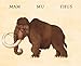 Flip-o-storic: Make Your Own Wacky Prehistoric Beast! (Mix-and-Match Board Books, 2)