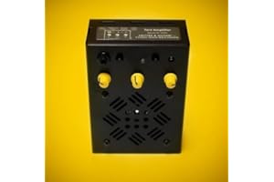 Critter & Guitari Terz Amplifier with Built-In