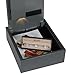 First Alert 2074F Top-Opening Anti-Theft Drawer Safe, 0.35 Cubic Feet