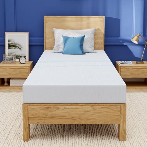 EGOHOME Twin Memory Foam Mattress