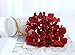 Veryhome Blooming Silk Hydrangea Flower Heads for DIY Bouquets Wedding Centerpieces Home Decor 12pcs red