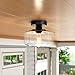 Industrial Semi-Flush Mount Ceiling Light, Clear Glass Pendant Lamp Shades, Farmhouse Lighting for Porch Hallway Kitchen Island Corridor Bedroom Bar, Vintage Hanging Light Fixtures, Bulb Not Included