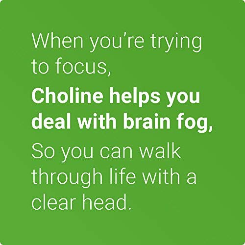 Choline-Bitartrate-500mg-Promotes-Brain-Health-Mental-Focus-Memory-Prenatal-Supplement-for-Development-Growth-100-Vegan-Non-GMO-Choline