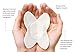 Butterfly Body Liners for Women 48CT Size L/XL