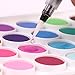 Transon Water Coloring Brush Set of 6 for Watercolor Painting, Powdered Watercolor Paint, Lettering, Drawing, Blending