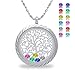 Birthstone Family Tree of Life Screw Floating Charm Living Memory Locket, DIY Stainless Steel Toughened Glass Pendant Necklace (Magnet-Engraving)