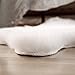 OJIA Shag Area Rug Faux Fur Sheepskin Area Rug, Super Soft Chair Cover Seat Cushion for Couch, Living Room Bedroom Floor - Ivory White, 2ft x 3ft