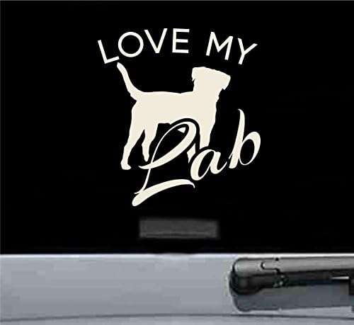 labrador animal rescue