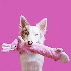 ZippyPaws - Jigglerz Tough No Stuffing Squeaky