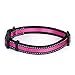 Mile High Life Dog Collar | Nylon Reflective Dog Collars | Light Weight Puppy Collars | Pink Dog Collars for Small Dogs (Pink, X-Small)
