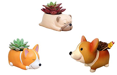 Everyday Better Life 3 PCS Set Cute Cartoon Animal Corgi Pug Shaped Succulent Cactus Vase Flower Pot for Home Garden Office Desktop Decoration (Plants Not Included)
