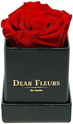 Dear Fleurs Handmade Preserved Flower Rose Box, Fresh Rose, Eternity Rose, Gift for Valentine's Day, Anniversary, Birthday (Red)
