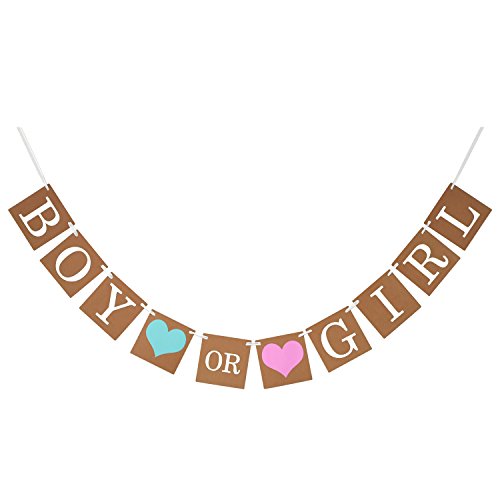 eBoot Baby Shower Decorations Boy or Girl Banner Gender Reveal Bunting Flag Baby Gender Show Party Favors Pregnancy Announcement