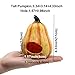 HenryDong Handmade Resin Pumpkin Aquarium Décor Ornaments, 2 Pack, 1 Pack, Fish Tank Safe Decorations, Flameer Turtles Hiding Hole Cave, Table Accessories Decor Reptile Box Shelter Habitatthumb 2