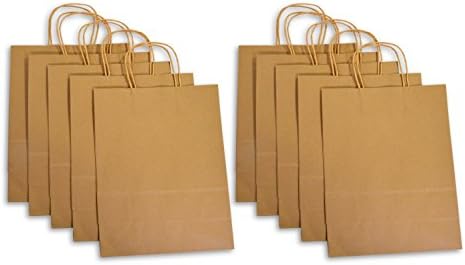 Brown Kraft Paper Gift Bags with Handles,10 x 5 x 13 in., Medium,, 10 Pcs