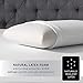 Beautyrest Latex Foam Pillow (Standard 2 Pack)