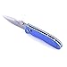 Firebird Knife F704 Pocket Folding Hunting Knife G-10 Handle SS Blade (Blue)