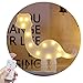 Obrecis Light Up Dinosaur Marquee Sign, Night Lights with Remote Control Timer Dimmable Dinosaur Decor for Children Gift Bedroom Baby Nursery Lamp (RC White Dinosaur)
