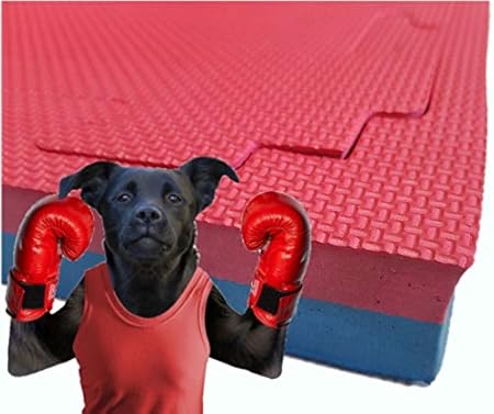 mma mats amazon