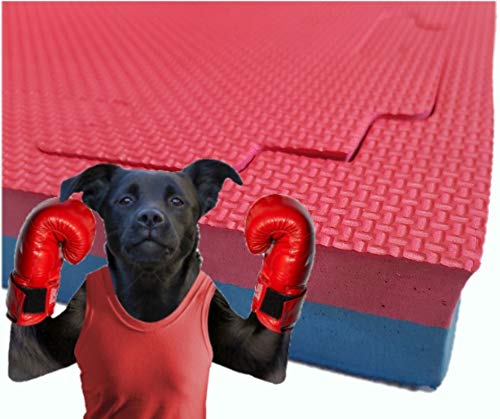 taekwondo mats amazon