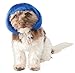 Blue Bob Dog Wig, Small/Medium