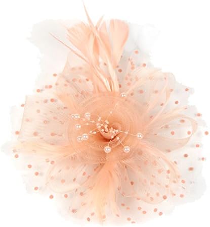FeiYu Crafts Penny Mesh Hat Fascinator with Mesh Ribbons and Black Feathers