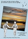 It's Never Too Late to Fall in Love: an anthology