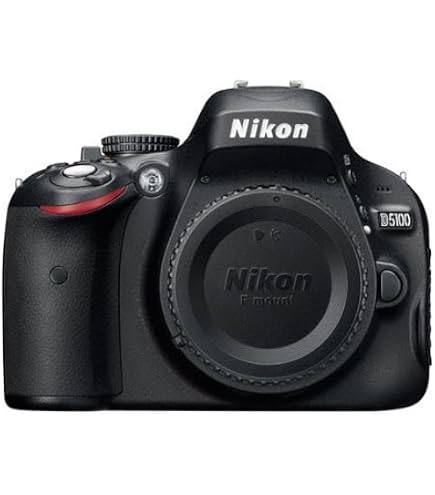 Amazon.com : Nikon D5300 24.2 MP CMOS Digital SLR Camera with