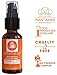 OZNATURALS Vitamin C Serum For Face With AHA, Vitamin E Oil & Hyaluronic Acid - Anti Aging Antioxidant Facial Serum & Brightening - 1 FL Oz…