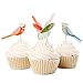 BETOP HOUSE Set of 24 Pieces Little Bird Garden Themed Cupcake Topper Picks for Baby Shower Birthday Party